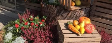 Unternehmen 2 Bild GARTENZENTRUM JOSEF EDLER Land-/Forstwirtschaft/Fischerei am Graz 6