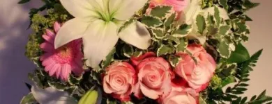 Unternehmen 2 Bild GÄRTNEREI EHRENBERGER Land-/Forstwirtschaft/Fischerei am Wien 9