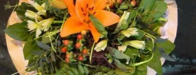 Unternehmen 1 Bild GÄRTNEREI EHRENBERGER Land-/Forstwirtschaft/Fischerei am Wien 9