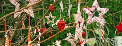 Unternehmen 3 Bild GÄRTNEREI EHRENBERGER Land-/Forstwirtschaft/Fischerei am Wien 9