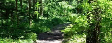 Unternehmen 6 Bild GASTHOF WILDRAST Hotels am Göpfritz An Der Wild 3