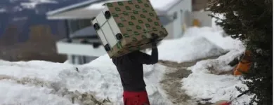 Unternehmen 4 Bild HARTMANN MARIO MÖBELTRANSPORTE ÜBERSIEDLUNG Umzugsunternehmen am Mils 7