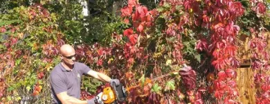 Unternehmen 3 Bild HAUS & CO ANLAGENBETREUUNG GMBH Malerbetriebe am Hall In Tirol Anführen 7