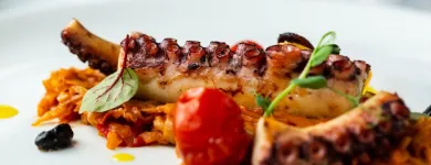 Unternehmen 10 Bild HOLIDAY INN VIENNA - SOUTH Veranstaltungen/Messen am Vienna 9