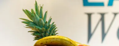 Unternehmen 11 Bild HOLIDAY INN VIENNA - SOUTH Veranstaltungen/Messen am Vienna 9