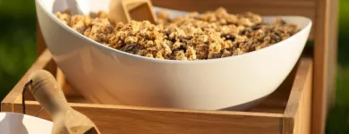 Unternehmen 19 Bild HOLIDAY INN VIENNA - SOUTH Veranstaltungen/Messen am Vienna 9