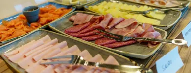 Unternehmen 50 Bild HOLIDAY INN VIENNA - SOUTH Veranstaltungen/Messen am Vienna 9