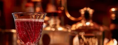 Unternehmen 38 Bild HOTEL BRISTOL, A LUXURY COLLECTION HOTEL, VIENNA Veranstaltungen/Messen am Vienna 9