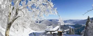 Unternehmen 2 Bild HOTEL-RESTAURANT FORELLENHOF Hotels am Puchberg Am Schneeberg 3