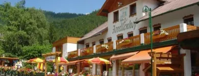Unternehmen 11 Bild HOTEL-RESTAURANT FORELLENHOF Hotels am Puchberg Am Schneeberg 3
