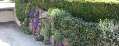 Unternehmen 9 Bild ING. GEROLD REISCHL GARTENGESTALTUNG GMBH Land-/Forstwirtschaft/Fischerei am Wien 9