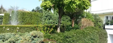 Unternehmen 2 Bild ING. GEROLD REISCHL GARTENGESTALTUNG GMBH Land-/Forstwirtschaft/Fischerei am Wien 9