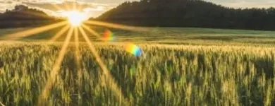 Unternehmen 1 Bild JOY NATURALS GMBH Ärzte am Thalgau 5