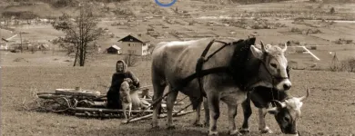 Unternehmen 3 Bild KAINDL COMPUTER WATRONIC-REPARATUREN SERVICE VERKAUF Edv-Beratungsunternehmen am Innsbruck 7