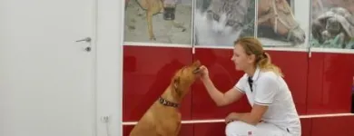 Unternehmen 3 Bild KLEINTIER- UND PFERDEPRAXIS DR. INGRID SCHMIDBURG Ärzte am Stainz 6