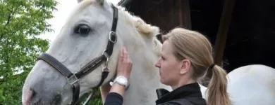 Unternehmen 4 Bild KLEINTIER- UND PFERDEPRAXIS DR. INGRID SCHMIDBURG Ärzte am Stainz 6