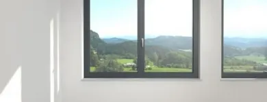 Unternehmen 7 Bild KR ANTON LENHARDT FENSTER-TÜREN GMBH Putzarbeiten, Stuckarbeiten am Wien 9