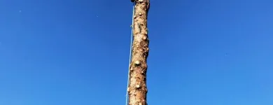 Unternehmen 1 Bild LB GARTENGESTALTUNG OG Verleihunternehmen, Vermietungsunternehmen, Vermittlungsunternehmen am Hall In Tirol 7