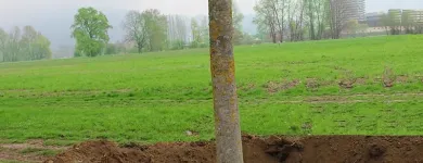 Unternehmen 2 Bild LITE-SOIL GMBH Gartengeräte, Landgeräte Einzelhandel am Wien 9