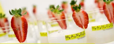 Unternehmen 5 Bild M.A.N.D.U. GRAZ MITTE Sport am Graz 6