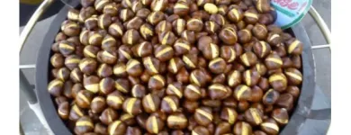 Unternehmen 5 Bild MARONESSA MARONI & MARONI-CATERING - CVETKA STOCKINGER Nahrungs-/Genussmittel am Graz 6