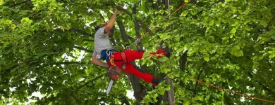Unternehmen 2 Bild MASCHINENRING INNSBRUCK-LAND Verleihunternehmen, Vermietungsunternehmen, Vermittlungsunternehmen am Mils 7