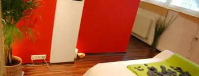 Unternehmen 3 Bild MASSAGE INSTITUT - GLASSAGE - DANIEL GLAS Massageinstitute am Kirchdorf An Der Krems 4