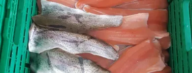 Unternehmen 1 Bild MAYER NINO - NINO'S LÄNDLEFISCH Nahrungs-/Genussmittel am Dornbirn 8