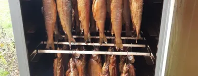 Unternehmen 9 Bild MAYER NINO - NINO'S LÄNDLEFISCH Nahrungs-/Genussmittel am Dornbirn 8