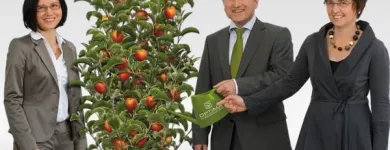 Unternehmen 2 Bild OPTIMA DIE STEUERBERATER GMBH Wirtschaftstreuhänder am Kirchdorf An Der Krems 4