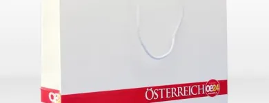 Unternehmen 3 Bild PAPIERTASCHENWELT E.U. Sägewerke am Wien 9