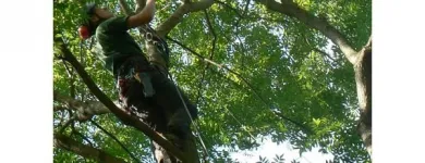 Unternehmen 3 Bild PFLANZ! GARTEN & FREIRAUM Land-/Forstwirtschaft/Fischerei am Obersdorf 3