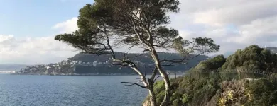 Unternehmen 2 Bild PIERRE & SPRACHFERIEN GMBH Transport/Verkehr/Tourismus am Wien 9