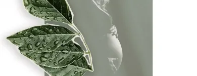 Unternehmen 11 Bild SANTÉ FEMME - INSTITUT FÜR FRAUENGESUNDHEIT Ärzte am Vienna 9