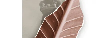 Unternehmen 13 Bild SANTÉ FEMME - INSTITUT FÜR FRAUENGESUNDHEIT Ärzte am Vienna 9