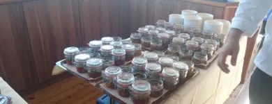 Unternehmen 4 Bild SEEWINKLER PARTY SERVICE PETER PAAR Hotel-/Gastronomiegewerbe am Frauenkirchen 1