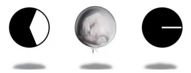 Unternehmen 1 Bild STEINMAYR & CO INSURANCE BROKERS GMBH Versicherungswesen am Innsbruck 7