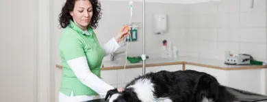 Unternehmen 1 Bild TIERARZTPRAXIS GRISSMANN Ärzte am Hall In Tirol 7