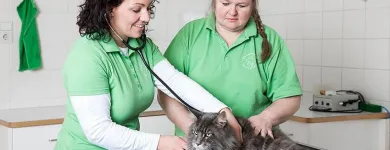 Unternehmen 2 Bild TIERARZTPRAXIS GRISSMANN Ärzte am Hall In Tirol 7