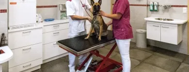 Unternehmen 1 Bild TIERARZTPRAXIS ZELL WETSCHER A. & P. RIESER Ärzte am Zell Am Ziller 7
