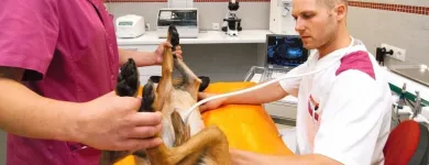Unternehmen 2 Bild TIERARZTPRAXIS ZELL WETSCHER A. & P. RIESER Ärzte am Zell Am Ziller 7