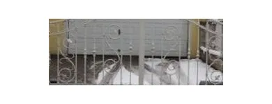 Unternehmen 5 Bild WALTER BÖCK – BAU- UND KUNSTSCHLOSSEREI Wach-Schliessgesellschaften am Wien 9