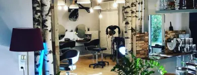 Unternehmen 6 Bild WOLFGANG PFEIFFER HAIR ART Kosmetik/Körperpflege am Wien 9