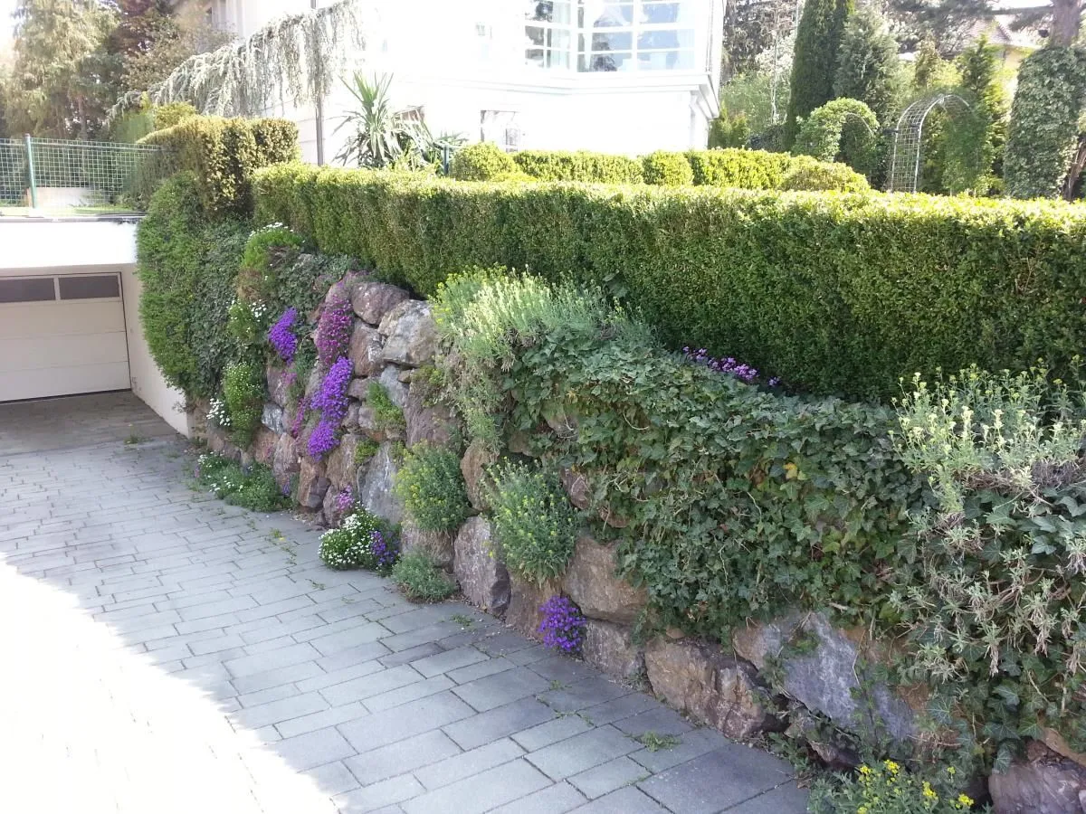 Unternehmen 9 Bild ING. GEROLD REISCHL GARTENGESTALTUNG GMBH