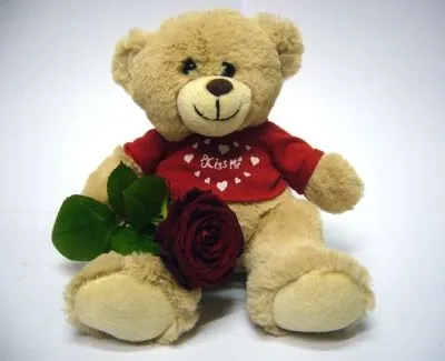 Unternehmen 5 Bild BLUMEN CLAUDIA