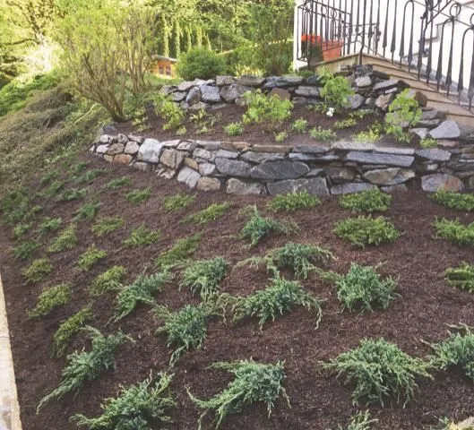 Unternehmen 3 Bild LB GARTENGESTALTUNG OG