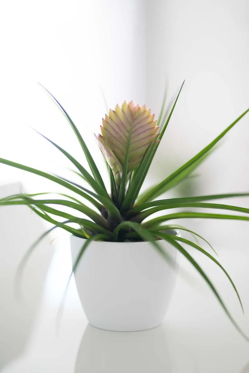 Unternehmen 18 Bild EDELWEISS DIGITAL GMBH