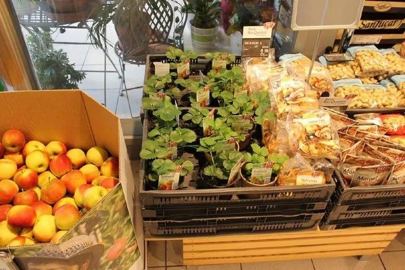Unternehmen 1 Bild ADEG AKTIV MARKT - MARKUS WOHLGENANNT