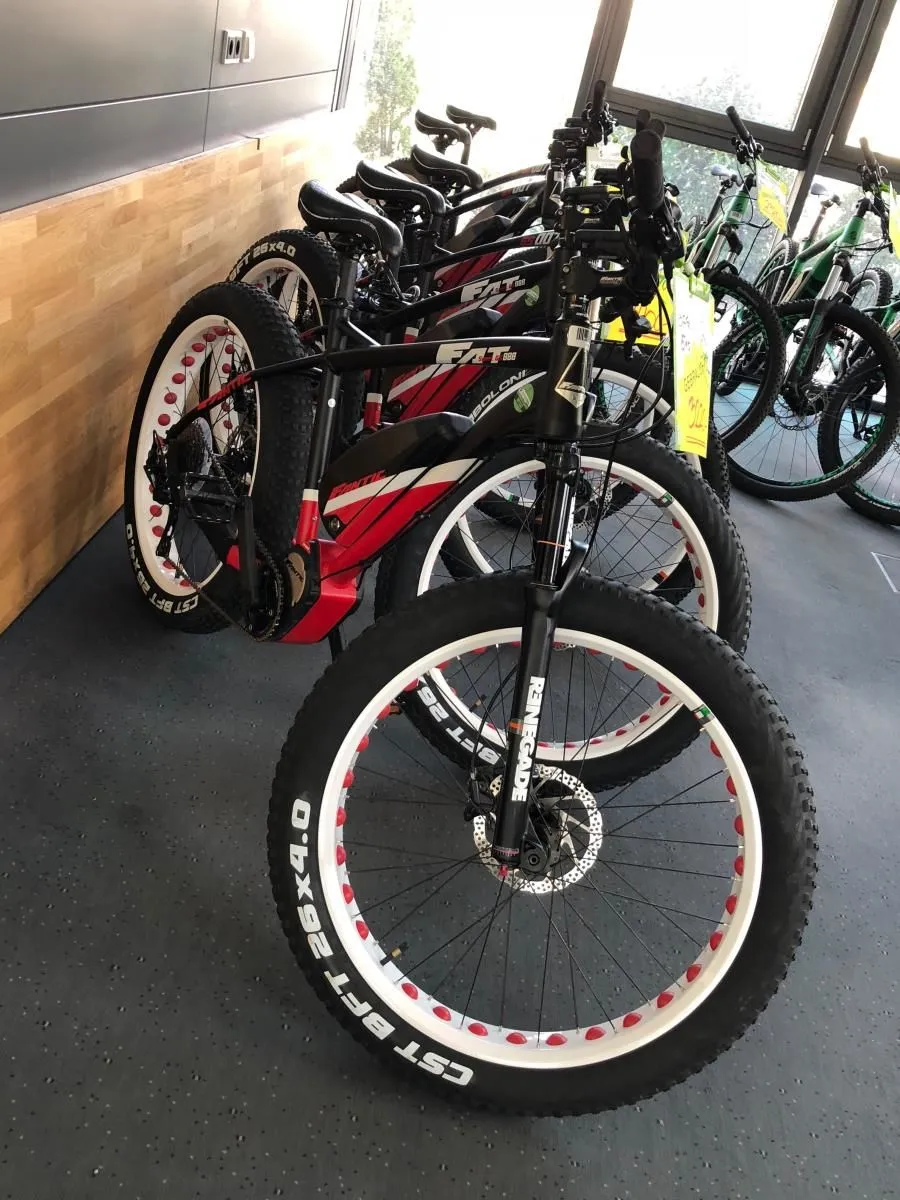 Unternehmen 6 Bild GREENSTORM MOBILITY GMBH