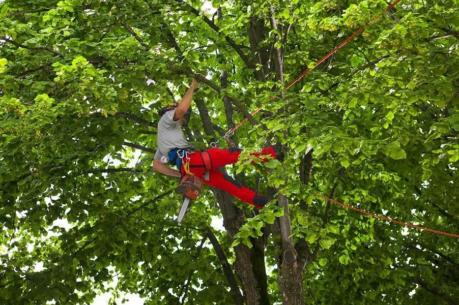 Unternehmen 1 Bild MASCHINENRING PANNONIA